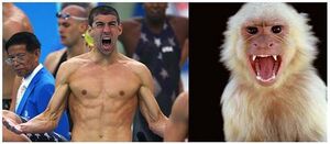 Phelps monkey.jpg