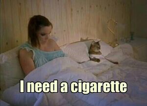 LOL Cats - Needs Cigarette.jpg