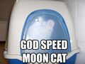 moar Mooncat