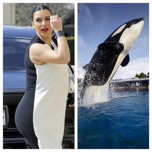 Pregnant - Whale.jpg