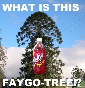 Faygo-tree.jpg