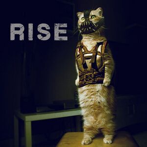 Bane Cat Rise.jpg