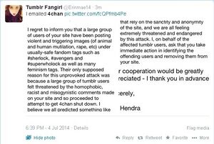 Tumblr 4th raid6.jpg